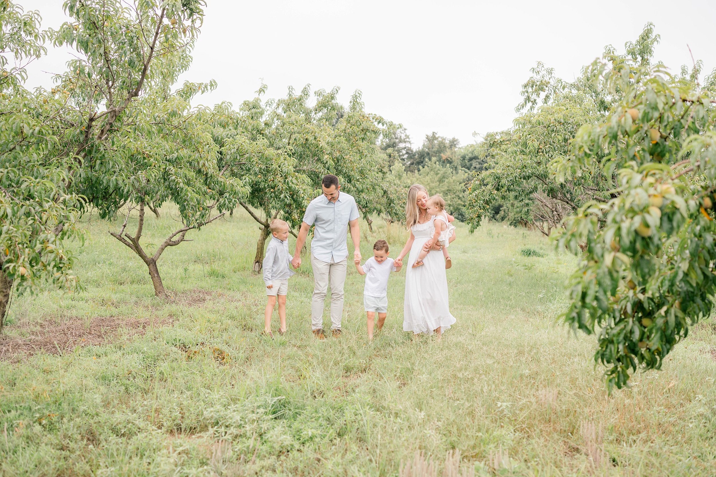 A mom and dad walk their 2 young sons through a peach orchard while mom carries their toddler daughter