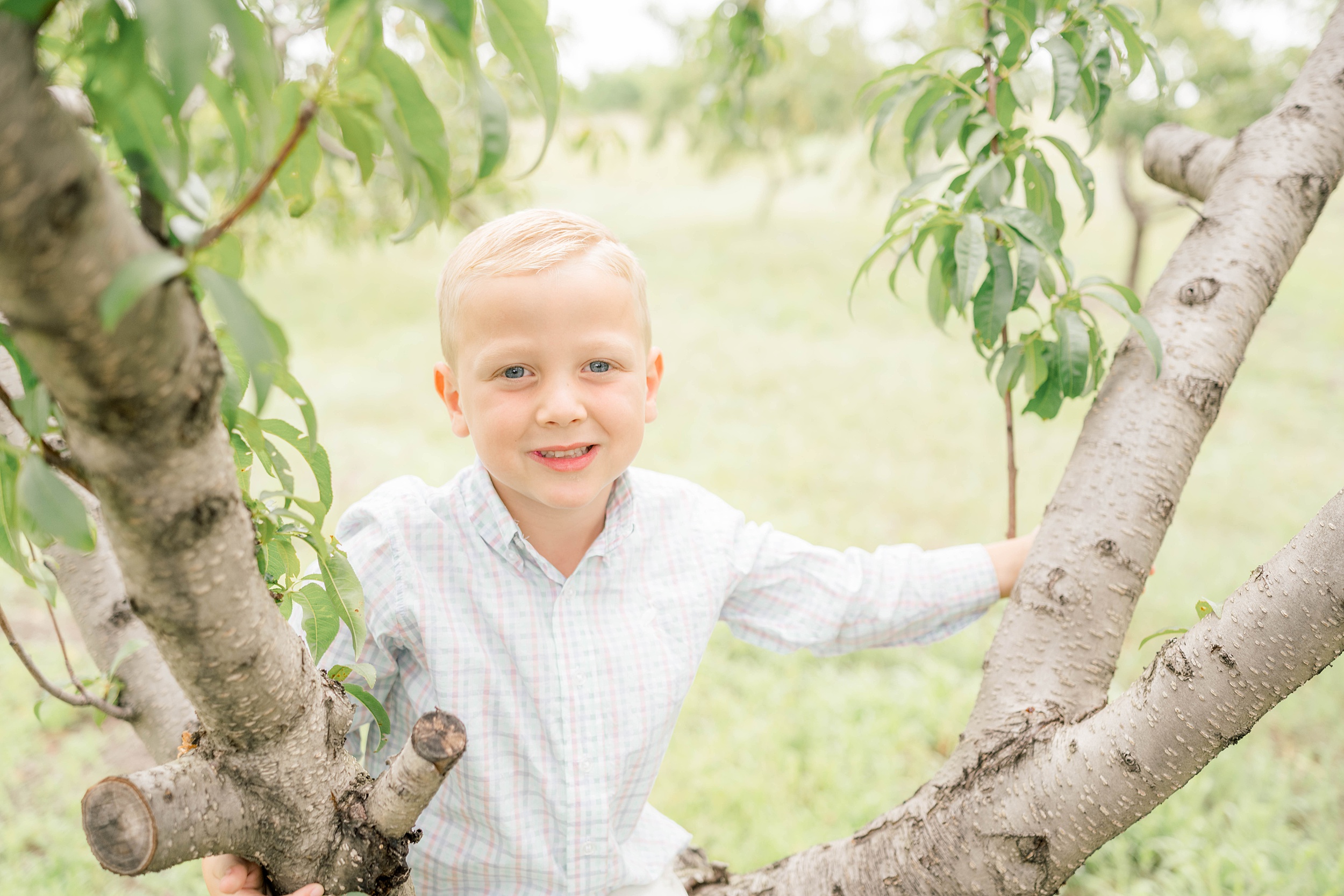 A young boy in a plaid shirt climbs a tree in a park after visiting oklahoma city preschools