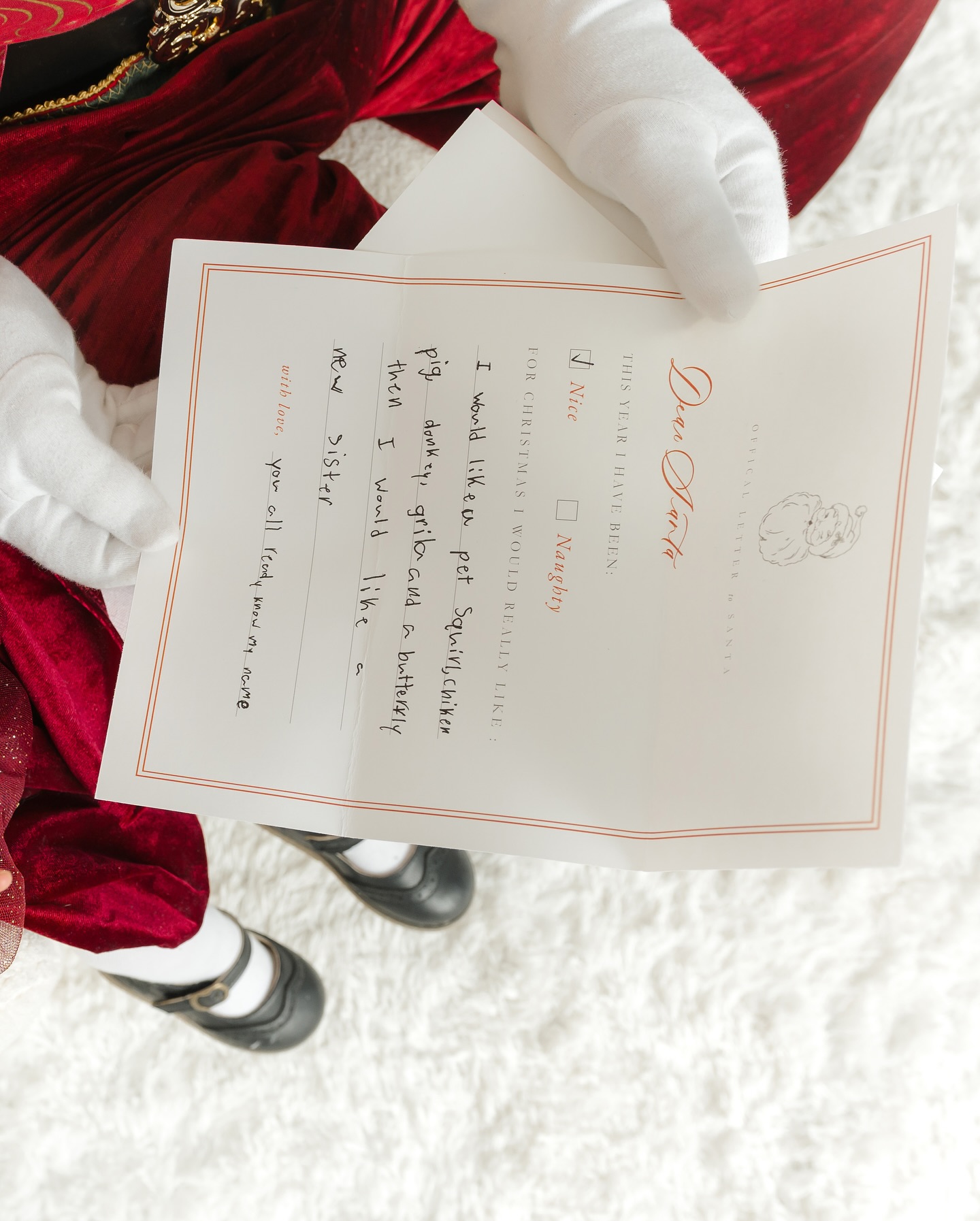 Details of a letter to Santa in his hands