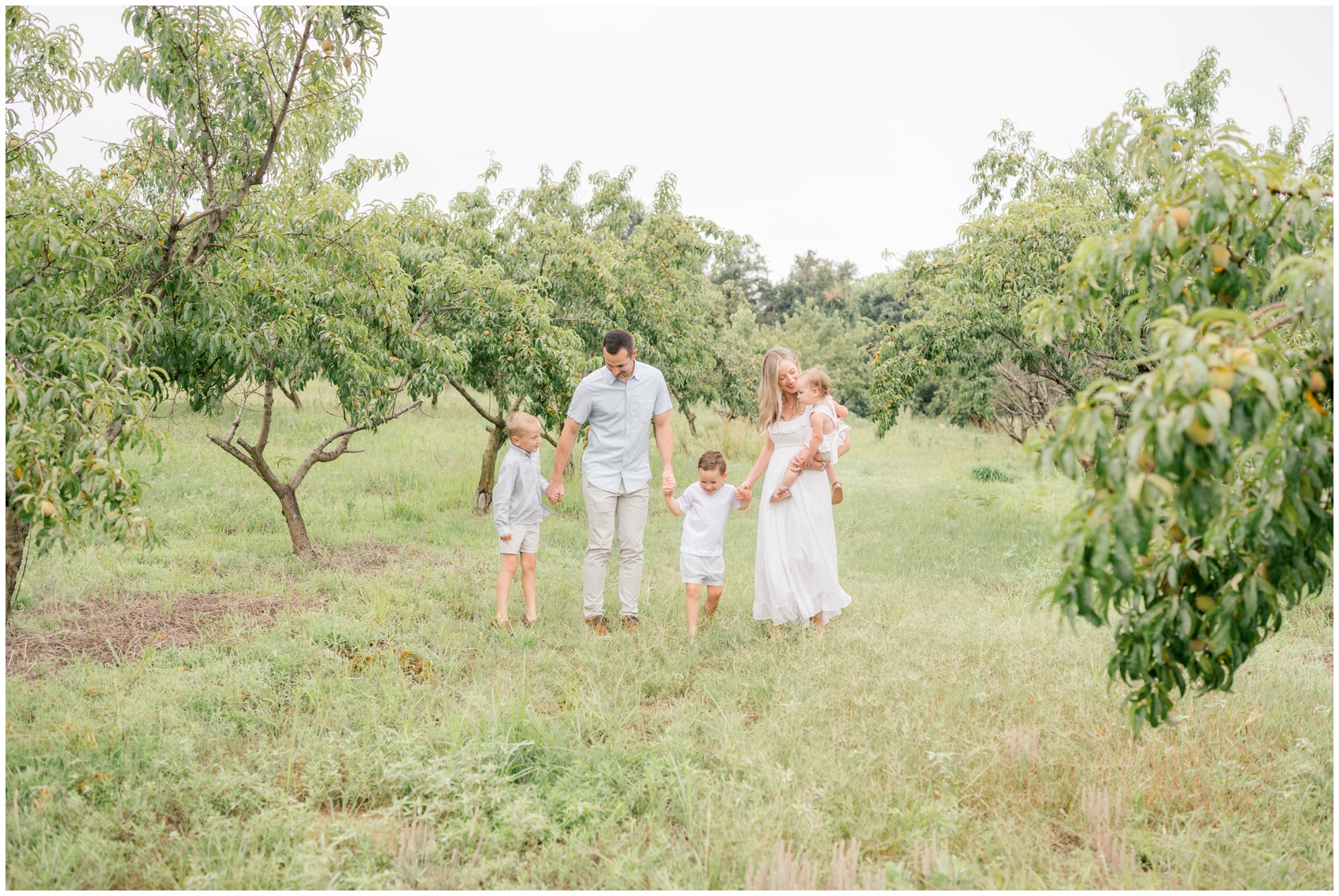 A mom and dad walk through a peach orchard holding hands with their two toddler sons with baby on mom's hip