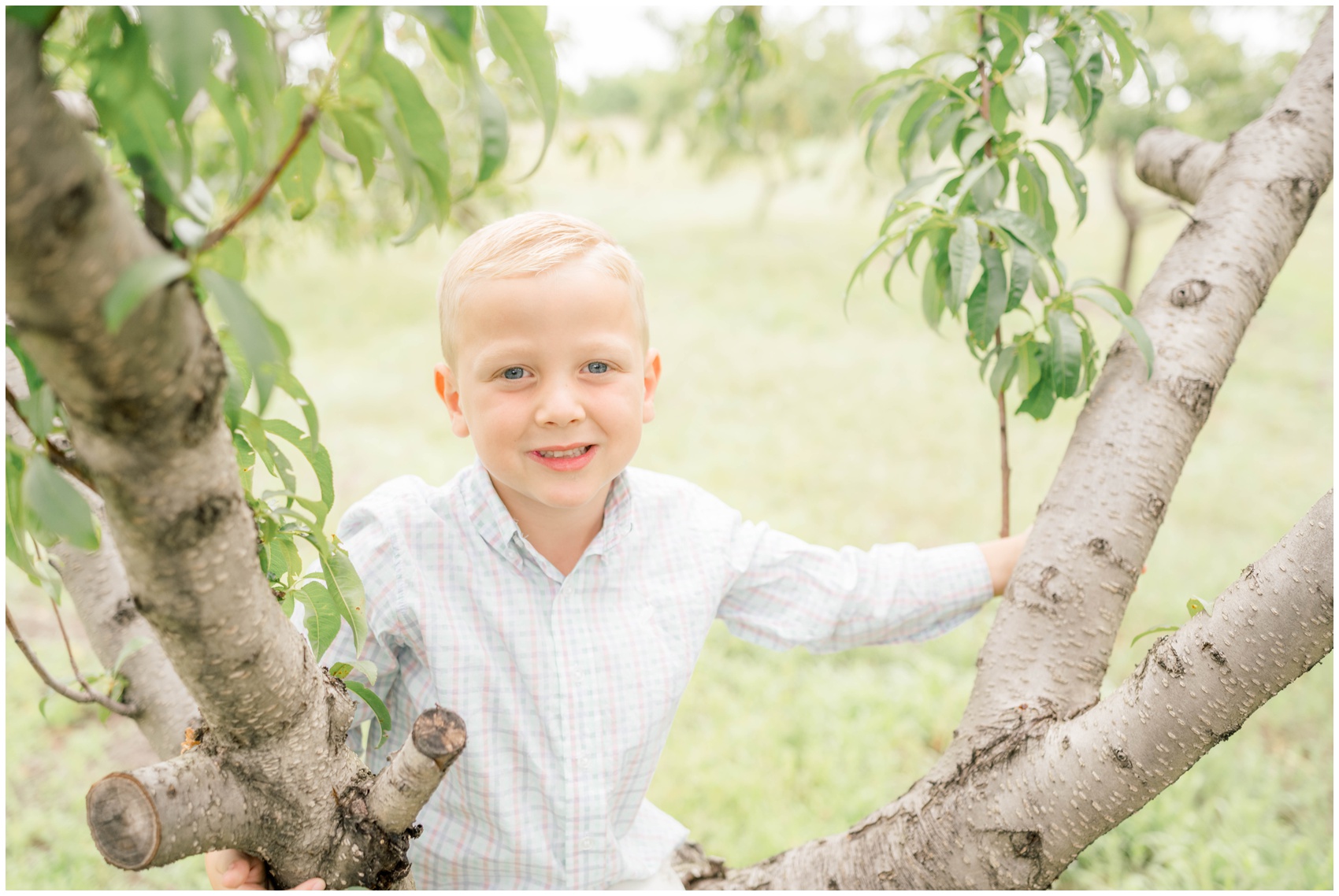 A young boy climbs a tree in a park before visiting pumpkin patches in okc