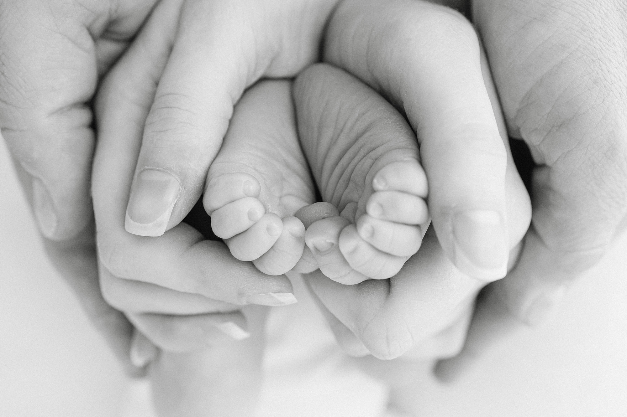 Details of a newborn baby's feet wrapped in mom and dad's hands