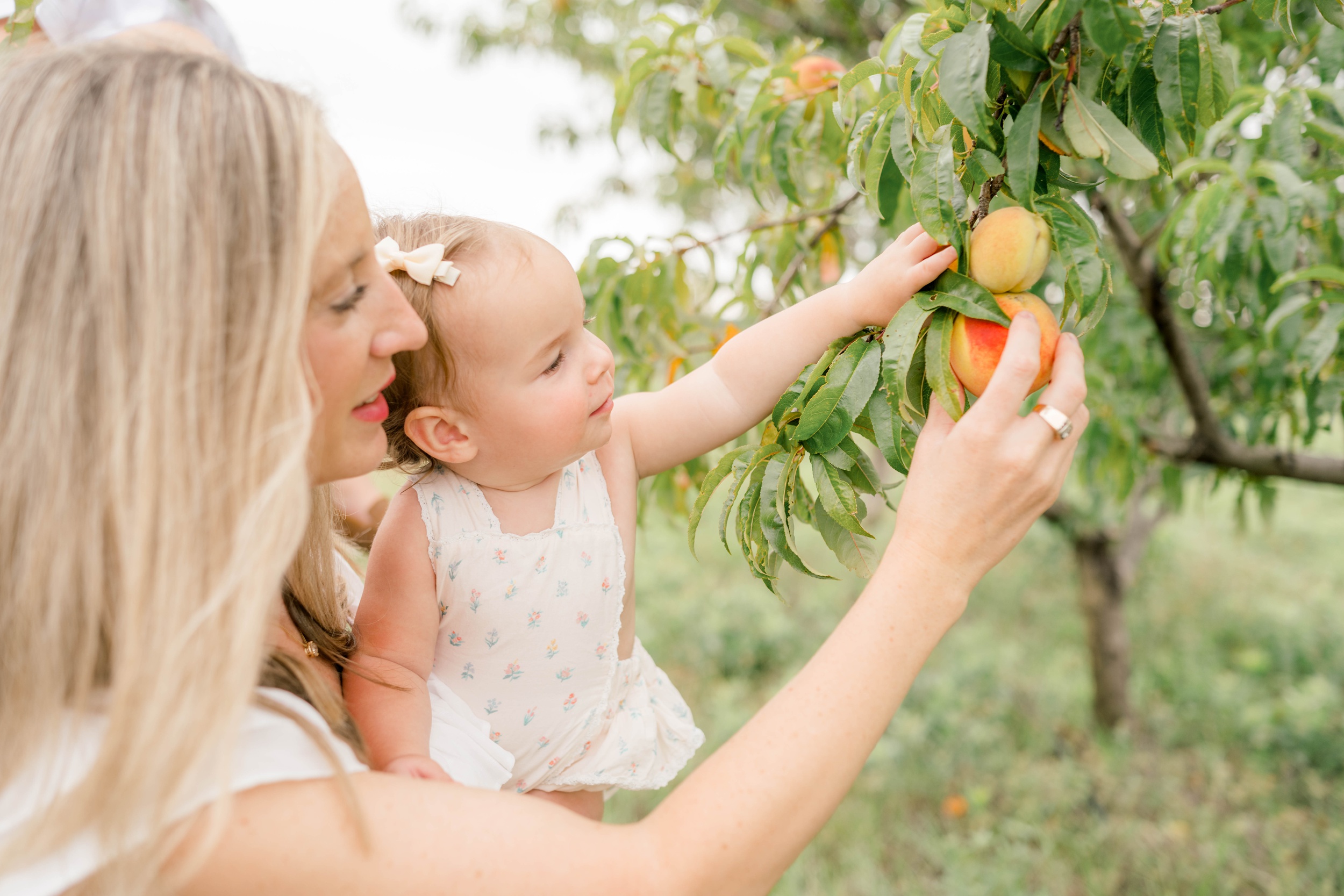 A toddler in mom's arms reaches for a peach on a tree with mom before spring break camps okc