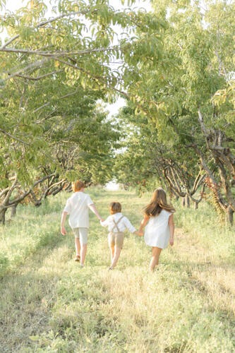 peach tree photos of the kids running through the fields